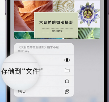 泗洪apple维修中心分享iPhone文件应用中存储和找到下载文件