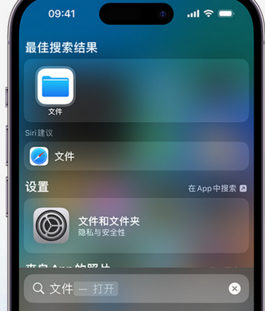 泗洪apple维修中心分享iPhone文件应用中存储和找到下载文件