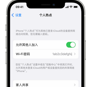 泗洪apple服务站点分享iPhone上个人热点丢失了怎么办 