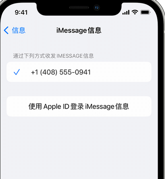 泗洪apple维修iPhone上无法正常发送iMessage信息 