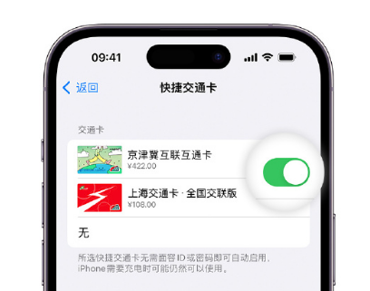 泗洪apple维修点分享iPhone上更换Apple Pay快捷交通卡手绘卡面 