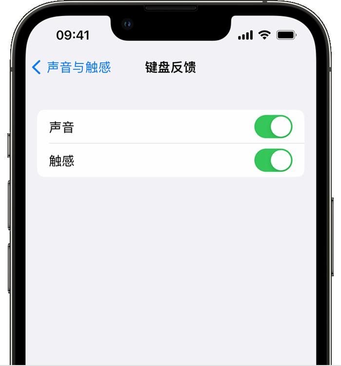 泗洪苹果14维修店分享如何在 iPhone 14 机型中使用触感键盘 