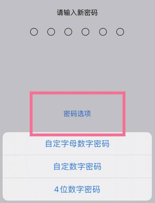 泗洪苹果14维修分享iPhone 14plus设置密码的方法 