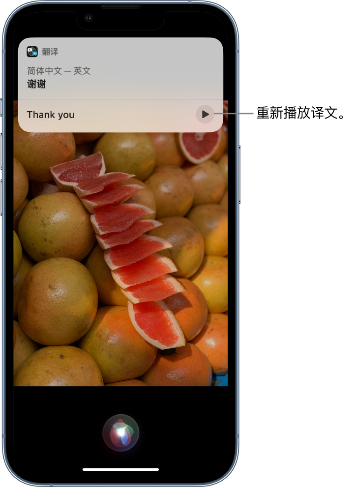 泗洪苹果14维修分享 iPhone 14 机型中使用 Siri：了解 Siri 能帮你做什么 