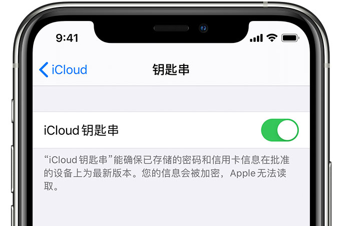 泗洪苹果手机维修分享在 iPhone 上开启 iCloud 钥匙串之后会储存哪些信息 