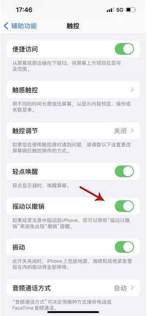 泗洪苹果手机维修分享iPhone手机如何设置摇一摇删除文字 